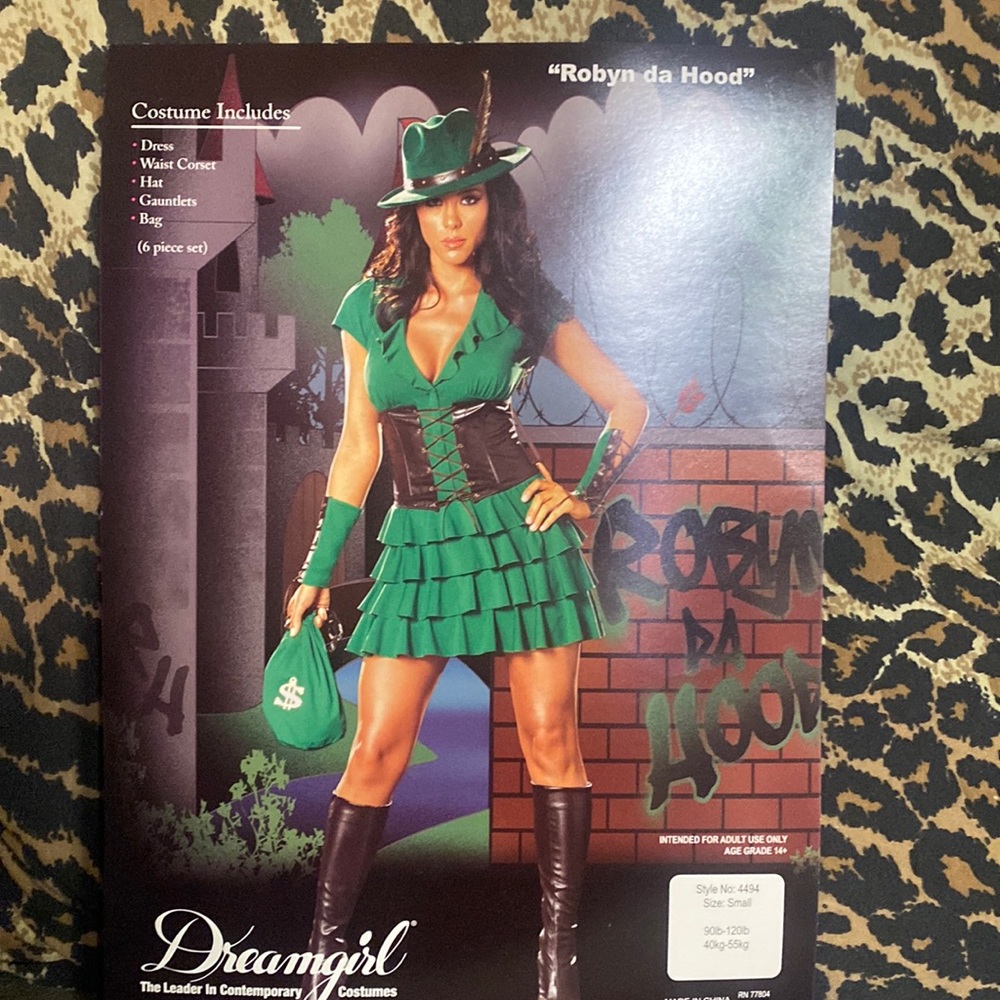 Robin Hood costume
